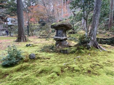 京都～♪大原三千院♪