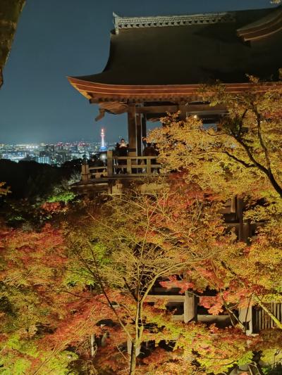 京都でハイアットリージェンシーに泊まる　その3「清水寺 夜間特別拝観」