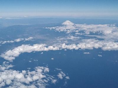 マイルとポイントで東京贅沢旅行