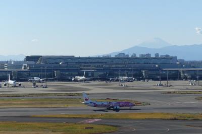 さくらジンベエに会いたい！「富士山」を再発見した羽田空港訪問記