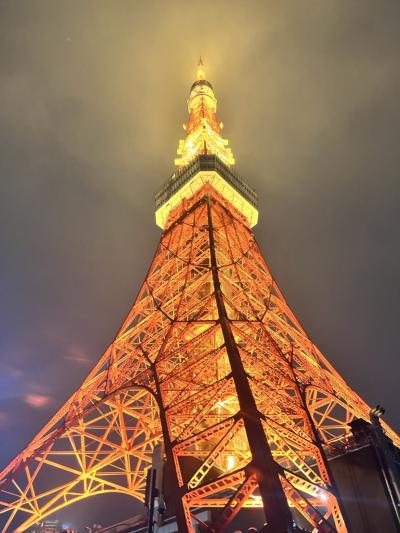 2021.11東京タワーのトップデッキツアー（1名3000円）に当日参加してみた