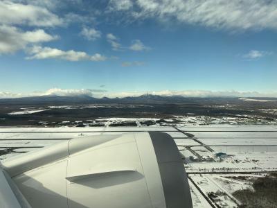 HOKKAIDO LOVE!6日間周遊パスで冬の北海道旅行 6日目 札幌→千歳空港→羽田』千歳・新千歳空港(北海道)の旅行記・ブログ by  迷い猫同好会さん【フォートラベル】