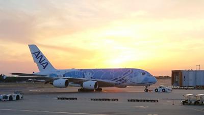 ANA A380初号機 ファーストクラス[A380搭乗シリーズ第6段]