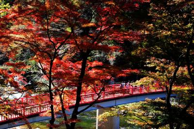 「香嵐渓・猿投温泉」夫婦の旅