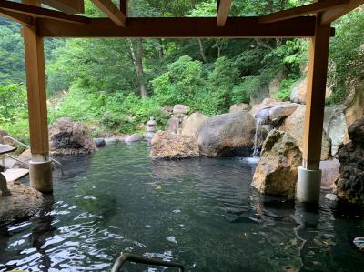 川古温泉_Kawafuru Onsen　『川古の土産はひとつ杖を捨て』！古くから効能が知られる温泉でプチ湯治