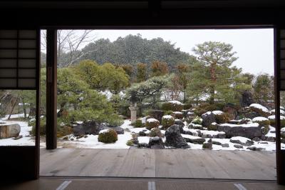 20220114-1 京都 雪降る中、雪の庭を鑑賞しに妙満寺