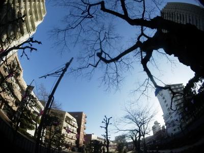 ｛旧大名屋敷街｝隠東京高級住宅街＝山の手地区（窪町東公園、伝通院（家康母墓）、春日局屋敷跡）周辺　３