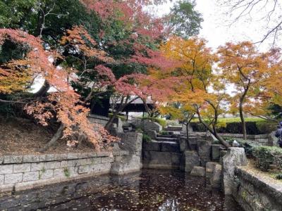 茨城・古河でまち歩き2021～紅葉を見てお酒と川魚をテイクアウト～