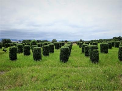 六国史の旅　元祖4トラベラー聖武天皇7　天皇さん戻らはる
