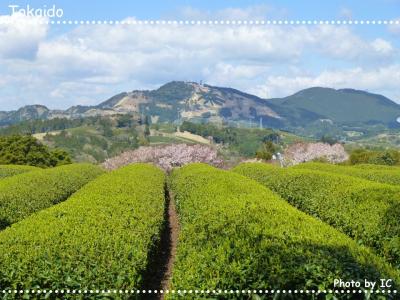 東海道をのんびり歩く旅　金谷宿～日坂宿～掛川宿