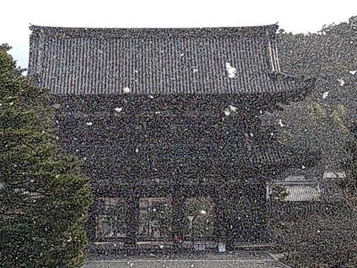 京の冬の旅①～文化財特別公開を楽しむ女旅～