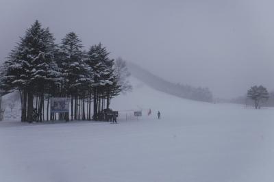 魅力度44位の県のスキー場で8年ぶりにスキーをして体ガタガタ　Part2