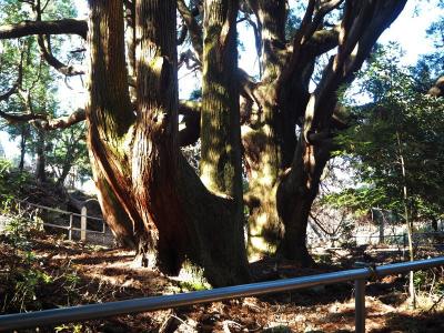 2020年12月Go To トラベルを利用して南阿蘇観光(南阿蘇鉄道 高森駅~高森殿の杉)