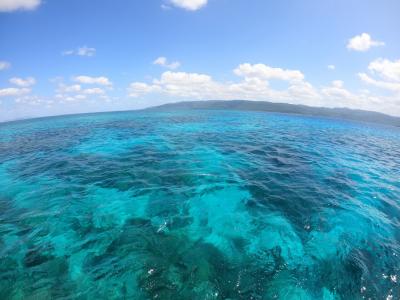 2021春休み家族５人旅行～西表島&amp;石垣島～(１日目)