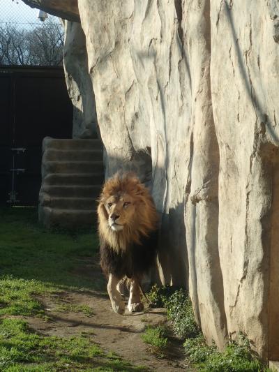 千葉市動物公園　後編