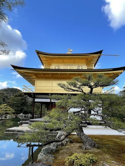 京都きらきら旅行！…金閣寺も京都タワーも！…ひとり旅編！