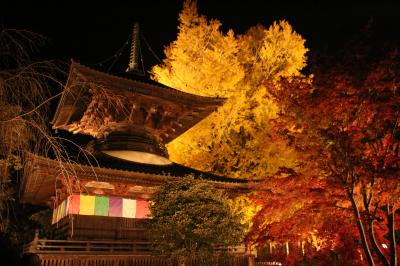 栃木・蓬莱山、太平山へ紅葉を見に行ったけれど、帰路立ち寄った足利ライトアップがきれいでした。