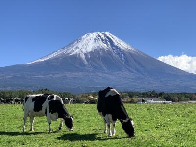 秋晴れの富士五湖＆富士山巡り