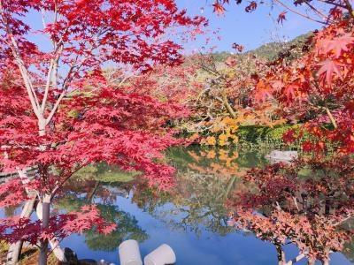 京都でハイアットリージェンシーに泊まる　その7「永観堂」