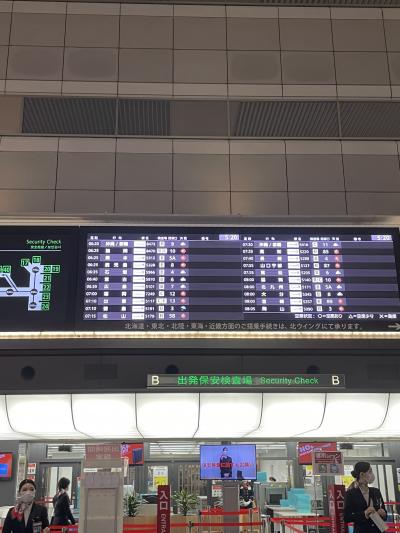那覇 子連れ旅行 に関する旅行記 ブログ フォートラベル 沖縄県