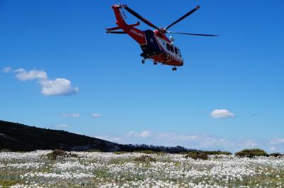 オーストラリア高山地帯をトレッキングで緊急事態2 VIC州 (Alpine trekking in emergency in VIC)