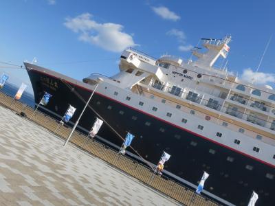 にっぽん丸 別府クリスマスクルーズ2021(3~4日目): 今年は3年ぶりに船上からの花火も鑑賞!