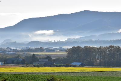 留辺蘂の美しい農村景観＆塩別つるつる温泉2021～黄色い絨毯のキカラシロード～（北海道）