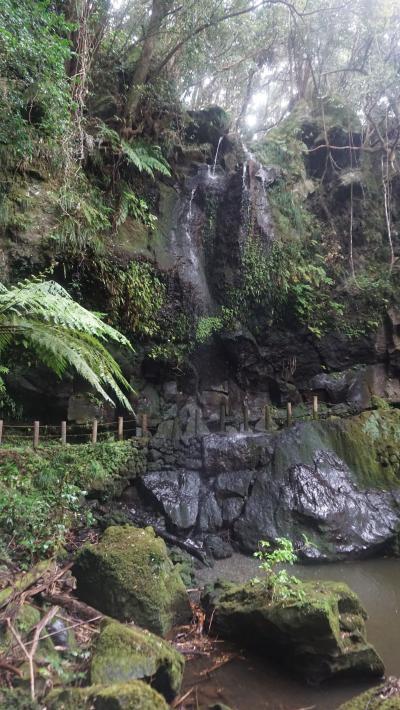 2021年、コロナ感染が下火になった秋に八丈島への旅 2.レンタカーで八丈島の自然と歴史遺跡を満喫