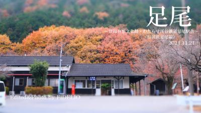 2021秋　北関東・足尾ローカル線の旅　～紅葉めぐりと近代日本産業の足跡を辿る～【足尾編】