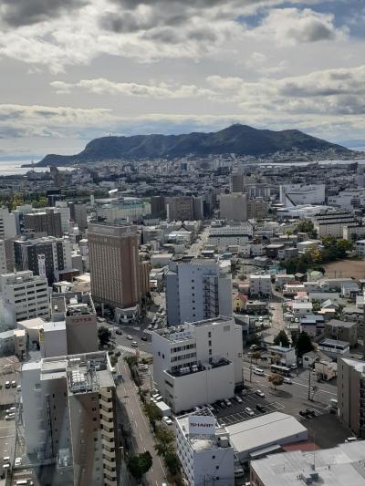 函館の三日間（１０）五稜郭展望タワーからの眺め。