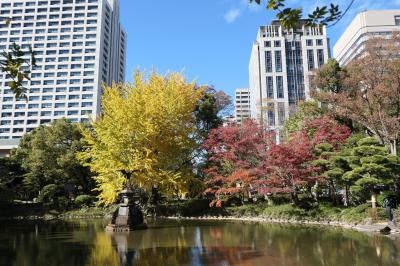 晩秋のラグジュアリー東京旅♪　Vol.36 ☆美しい紅葉の日比谷公園♪