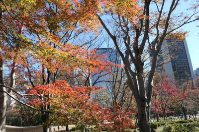 晩秋のラグジュアリー東京旅♪　Vol.37 ☆美しい紅葉の日比谷公園♪