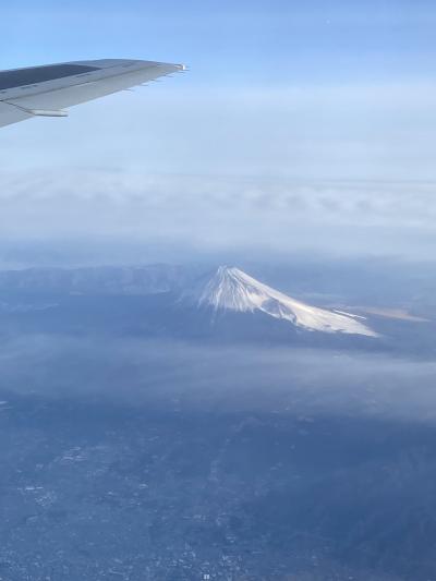 「どこかにマイル」を使って一人旅～（どこかと言いながら、行きたい場所を狙います！）