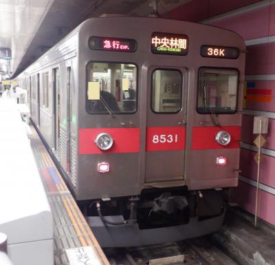 Ｌ　ＪＡＮ　２０２２　　プチテツ１９・・・・・東急８５００系惜別乗車