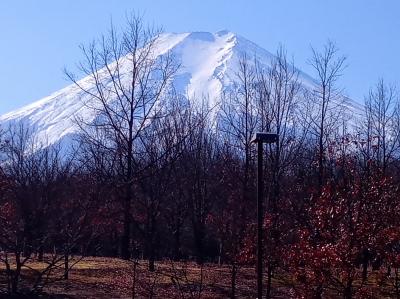 新宿発０円ツアー（富士山）