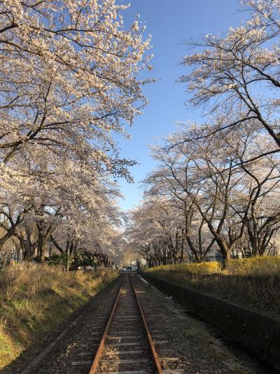 2019 春の秋田&青森、桜と鉄道と温泉の旅 2 