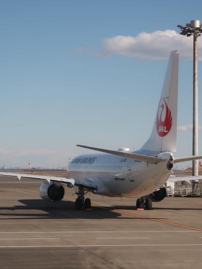 羽田空港　第１旅客ターミナル　Ｊclass/A3-変更OK　☆中華《彩鳳》-五目あんかけ麺で