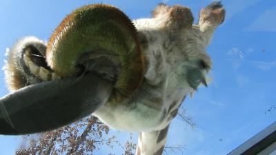 ２０２２年１月　北海道　その３　旭山動物園