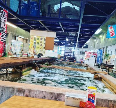 シニアトラベラー！南房総道の駅巡り満喫の旅千倉編③