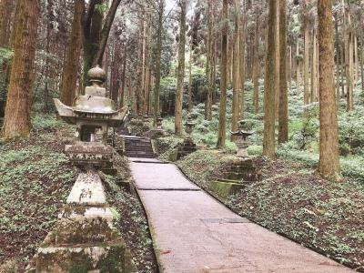 阿蘇・高森　メガ赤牛丼と「蛍火の杜へ」の舞台上色見熊野座神社の異世界を味わう