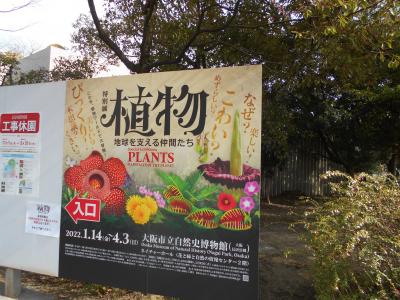 大阪市立自然史博文館の特別展