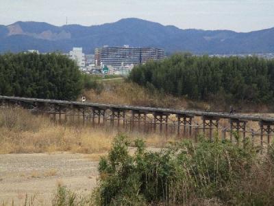 「木津川・流れ橋探訪 」