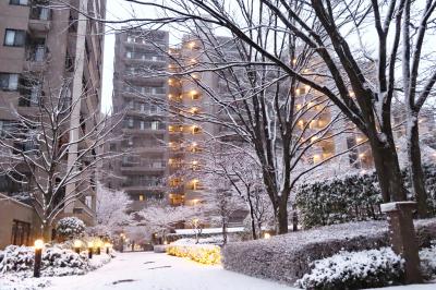 Japan　雪の降る日に友人のところへ