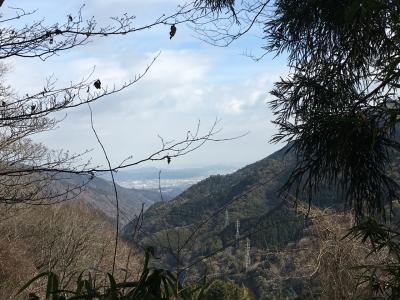 東海道五十三次を歩く旅☆其の三十☆小田原宿→箱根宿☆天下の険！箱根東坂に挑戦☆後編