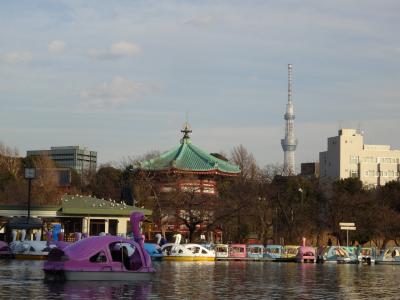 上野公園と不忍池のボートで０密リフレッシュ【親子で東京往復記2022年1月編その２】