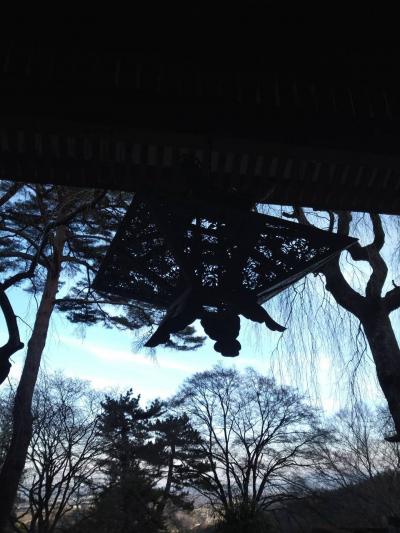 【群馬】 日帰りｸﾞﾝﾏｰ旅行記2　ろうばいに冬と春の間を感じ、妙義神社で足腰を鍛えられる