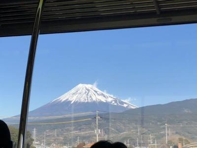 正月　夢のつり橋・スカイウオーク・大室山など5日間　5日目