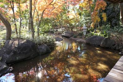 初冬の川口グリーンセンター　雅な紅葉♪　Vol.9