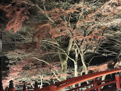 神宮・大社・宮・神社に参拝  街の神社　伊香保神社参拝