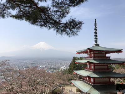 【3世代旅行】富士山＆清水の旅 2